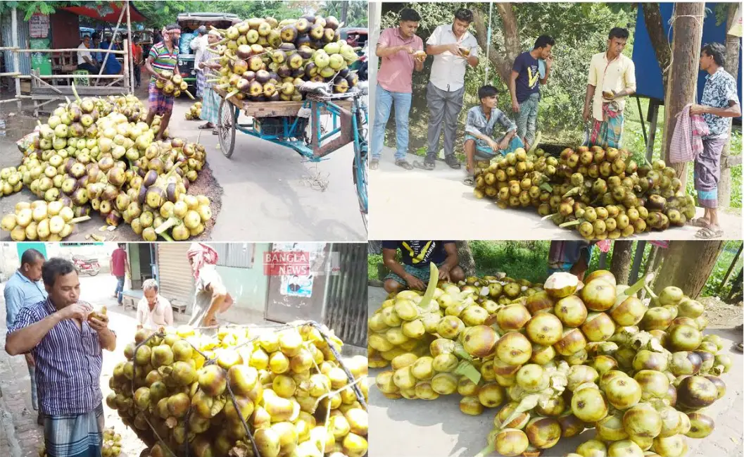মধু মাসের জনপ্রিয় ফল কচি তাল মধু মাসের জনপ্রিয় ফল কচি তাল