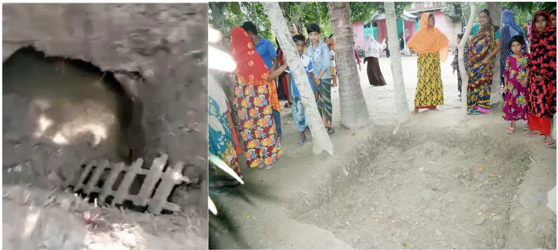 বাড়ির আঙ্গিনায় রহস্যজনক গুপ্তধনের খোঁজ বাড়ির আঙ্গিনায় রহস্যজনক গুপ্তধনের খোঁজ