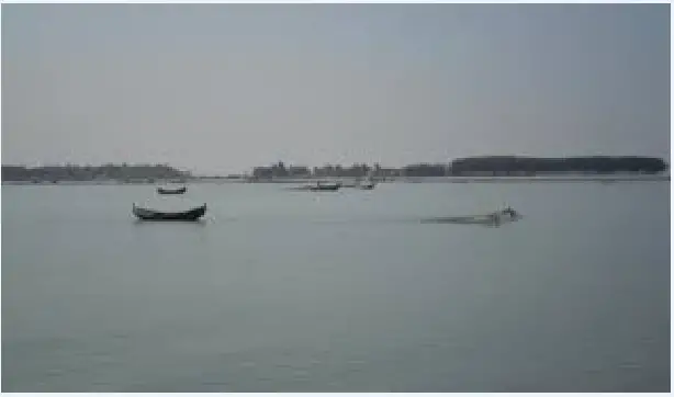নাফ নদী থেকে অজ্ঞাত তিন লাশ উদ্ধার নাফ নদী থেকে অজ্ঞাত তিন লাশ উদ্ধার
