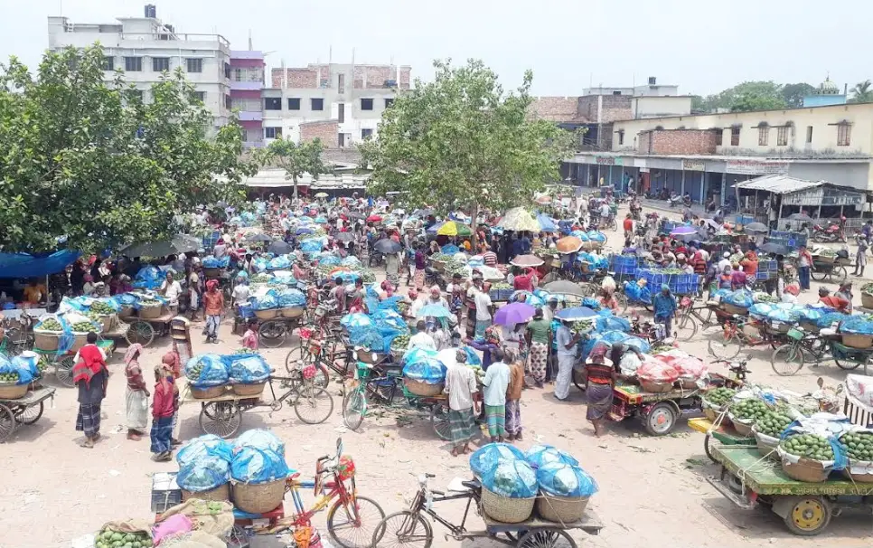 চাঁপাইনবাবগঞ্জে আম ব্যবসায় ৫০০ কোটি টাকা ক্ষতির শঙ্কা চাঁপাইনবাবগঞ্জে আম ব্যবসায় ৫০০ কোটি টাকা ক্ষতির শঙ্কা