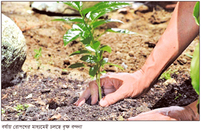 শ্বাসকষ্টের কালে আদিপ্রাণ বৃক্ষ বন্দনা