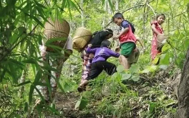 মিয়ানমারে সহিংসতার পর লাখ লাখ মানুষ আশ্রয় নিচ্ছে জঙ্গলে মিয়ানমারে সহিংসতার পর লাখ লাখ মানুষ আশ্রয় নিচ্ছে জঙ্গলে