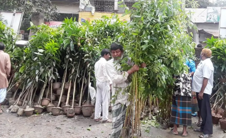 মির্জাপুরে বৃক্ষ রোপণের প্রবণতা বাড়ছে মির্জাপুরে বৃক্ষ রোপণের প্রবণতা বাড়ছে