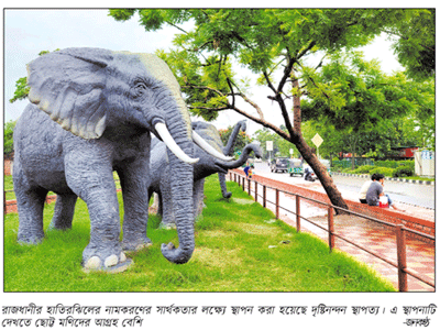 সদলবলে হাতি ঘুরে বেড়াচ্ছে হাতিরঝিলে