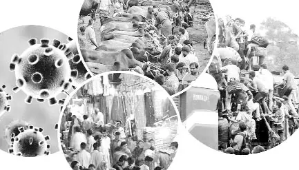 করোনাকালে কোরবানির ঈদ করোনাকালে কোরবানির ঈদ