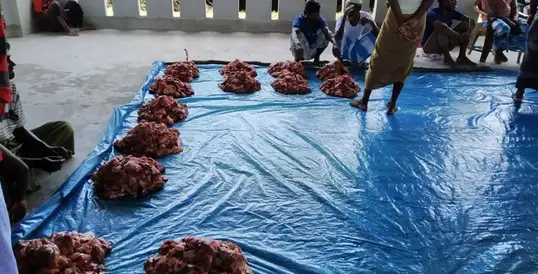 ভাসানচরে প্রধানমন্ত্রীর পক্ষ থেকে ২৩৫ গরু কোরবানী ভাসানচরে প্রধানমন্ত্রীর পক্ষ থেকে ২৩৫ গরু কোরবানী