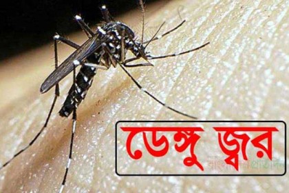 গত ২৪ ঘন্টায় ৪০২ ডেঙ্গুরোগী হাসপাতালে ভর্তি