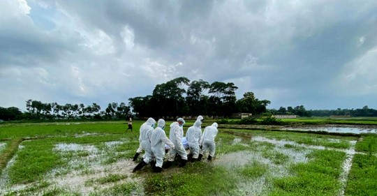 করোনায় মৃত্যু কমছে