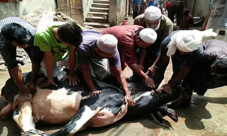 ঈদের ২য় দিনেও হচ্ছে পশু কোরবানি ঈদের ২য় দিনেও হচ্ছে পশু কোরবানি
