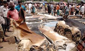 চামড়া পাচার রোধে সীমান্তে সতর্কতা চামড়া পাচার রোধে সীমান্তে সতর্কতা