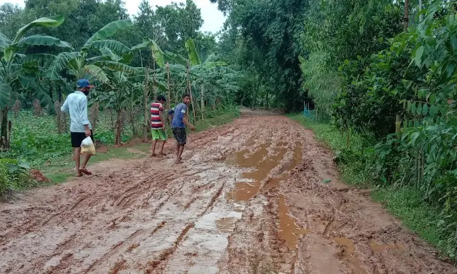 বাহুবলের বীর মুক্তিযোদ্ধা আব্দুস শহীদ রাস্তা সংস্কার না হওয়ায় ১০ গ্রামের ভোগান্তি