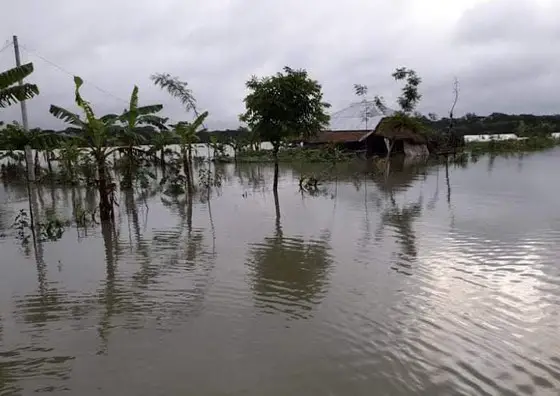 বৃষ্টির পানিতে ভেসে গেছে বহু মাছের ঘের ॥ সবজি, ফসলের ক্ষতি বৃষ্টির পানিতে ভেসে গেছে বহু মাছের ঘের ॥ সবজি, ফসলের ক্ষতি