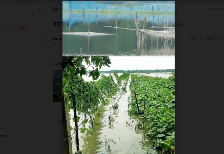 বাগেরহাটে ৪ দিনের অতিবর্ষণে সাড়ে ৫ কোটি টাকার ফসলের ক্ষতি বাগেরহাটে ৪ দিনের অতিবর্ষণে সাড়ে ৫ কোটি টাকার ফসলের ক্ষতি