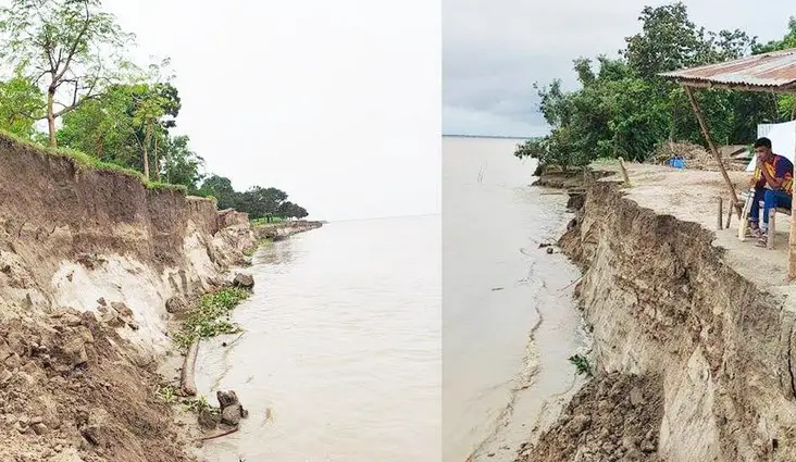 পদ্মায় ভয়াবহ ভাঙন, নদীর্গভে শত বিঘা আবাদি জমি