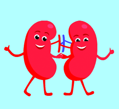 সুস্থ কিডনির জন্য করণীয়