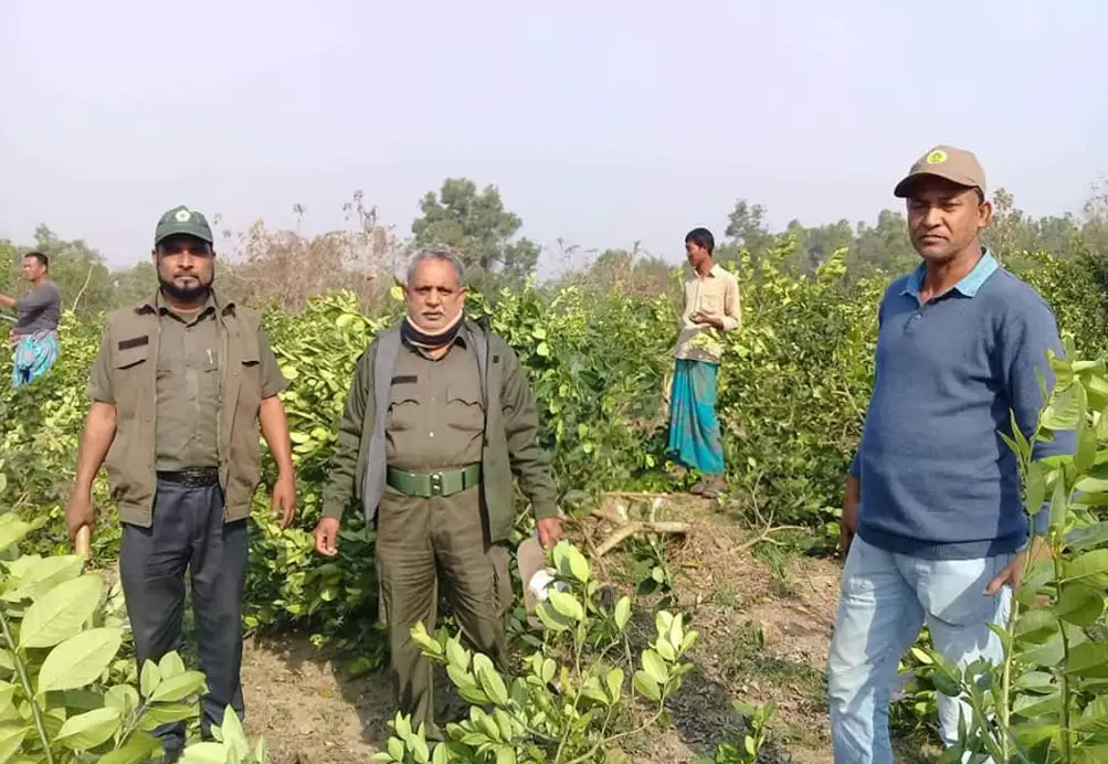 ৮ মাসের অভিযানে বনবিভাগের কোটি টাকা লাভ ৮ মাসের অভিযানে বনবিভাগের কোটি টাকা লাভ