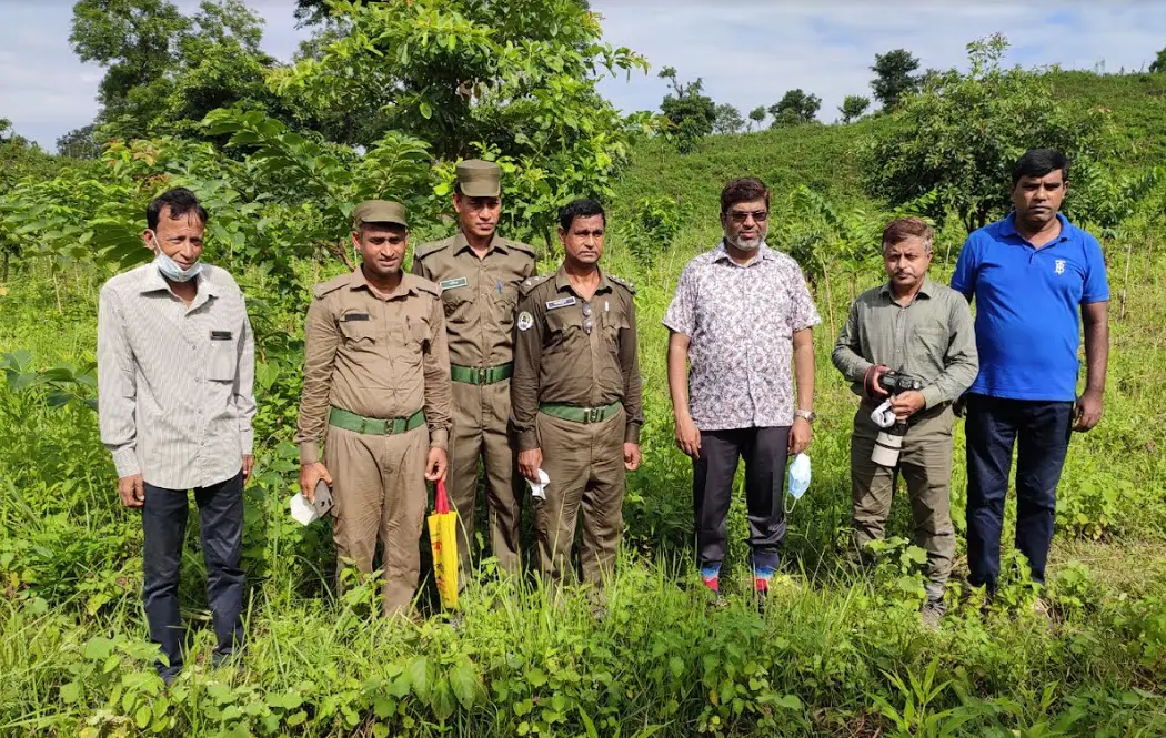 মাধবপুরে ফলজ বাগান পরিদর্শন করেন বন সংরক্ষক