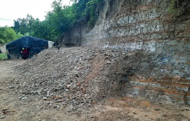 পেকুয়ায় পাহাড় কেটে বনজসম্পদ দখল পেকুয়ায় পাহাড় কেটে বনজসম্পদ দখল