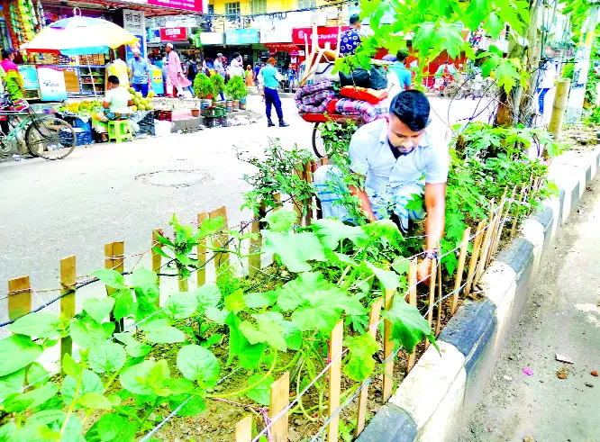 বায়ান্ন বাজার তিপ্পান্ন গলি