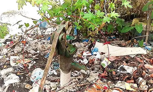তাহিরপুরে আবর্জনার মধ্য দিয়ে শিক্ষার্থী-শিক্ষকদের নাক চেপে চলাচল তাহিরপুরে আবর্জনার মধ্য দিয়ে শিক্ষার্থী-শিক্ষকদের নাক চেপে চলাচল