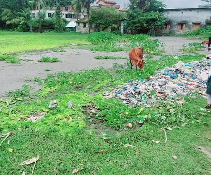 পাথরঘাটায় সরকারি জমি ভরাটে চলছে মহোৎসব