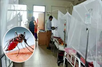 ডেঙ্গু : গত ২৪ ঘন্টায় ২৪৬ জন হাসপাতালে ডেঙ্গু : গত ২৪ ঘন্টায় ২৪৬ জন হাসপাতালে