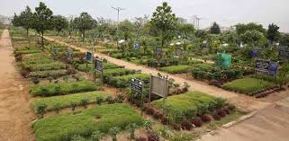 করোনা : গত ২৪ ঘন্টায় ৩৬ মৃত্যু করোনা : গত ২৪ ঘন্টায় ৩৬ মৃত্যু