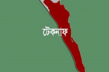 টেকনাফে পাহাড়ি ছড়ায় বন্য হাতির বাচ্চার মৃত