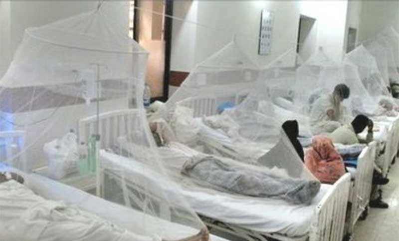 ডেঙ্গু : গত ২৪ ঘণ্টায় হাসপাতালে ভর্তি ২১১, মৃত্যু ২ ডেঙ্গু : গত ২৪ ঘণ্টায় হাসপাতালে ভর্তি ২১১, মৃত্যু ২
