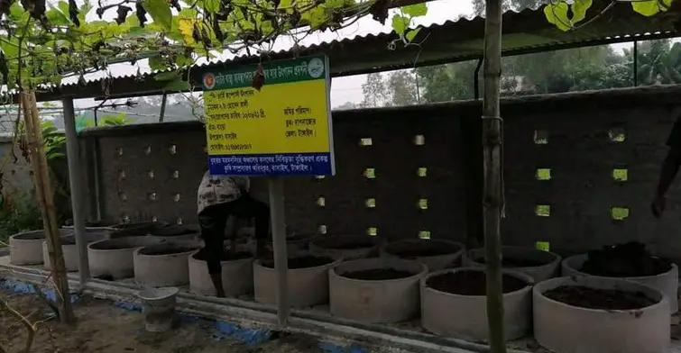 টাঙ্গাইলের বাসাইলে দিন দিন জনপ্রিয় হচ্ছে ভার্মি কম্পোস্ট টাঙ্গাইলের বাসাইলে দিন দিন জনপ্রিয় হচ্ছে ভার্মি কম্পোস্ট