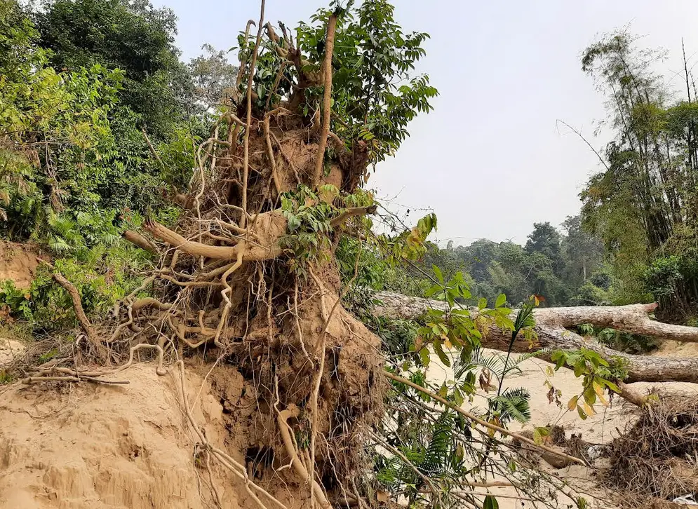 ড্রেজার মেশিন তান্ডবে হুমকীতে পাহাড়ি টিলা, ছড়া ও নদী