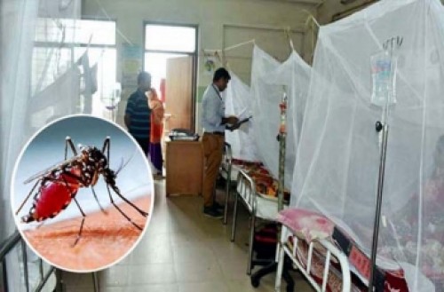 ডেঙ্গু : গত ২৪ ঘন্টায় ১৮৩ জন হাসপাতালে ডেঙ্গু : গত ২৪ ঘন্টায় ১৮৩ জন হাসপাতালে