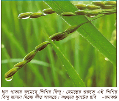 দিগঙ্গনার অঙ্গন আজ পূর্ণ তোমার দানে ॥ এসেছে হেমন্তলক্ষ্মী দিগঙ্গনার অঙ্গন আজ পূর্ণ তোমার দানে ॥ এসেছে হেমন্তলক্ষ্মী