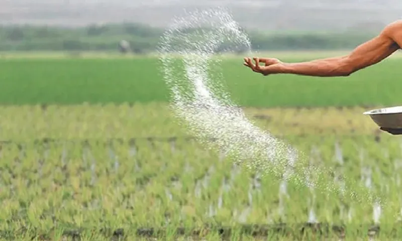 ৯০ হাজার টন সার কিনবে সরকার