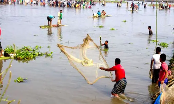 ঠাকুরগাঁওয়ে শুরু হলো মাছ ধরার উৎসব