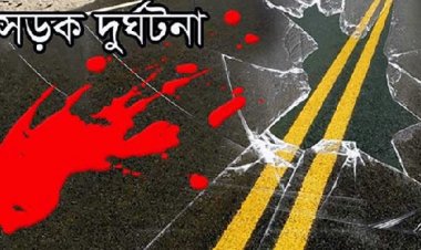 নাটোরে সড়ক দুর্ঘটনায় দুই জন নিহত