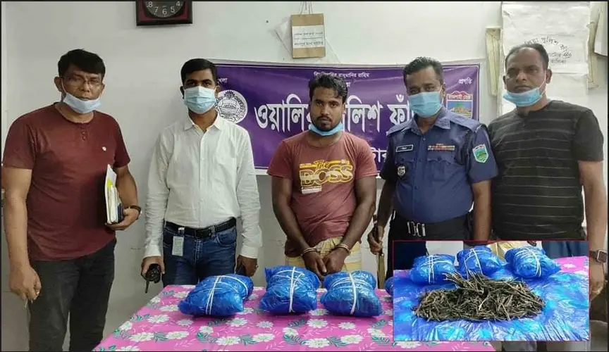 লালপুরে গাঁজাসহ আটক-১ লালপুরে গাঁজাসহ আটক-১