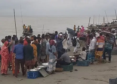 মাদারীপুরে পদ্মার দুর্গম চরে মা ইলিশের রমরমা হাট-বাজার মাদারীপুরে পদ্মার দুর্গম চরে মা ইলিশের রমরমা হাট-বাজার