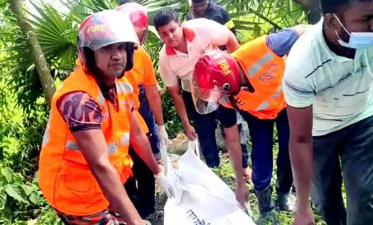 কুষ্টিয়ায় চুরির সময় রাস্তার গাছ চাপায় ইজি বাইক চালকের মৃত্যু কুষ্টিয়ায় চুরির সময় রাস্তার গাছ চাপায় ইজি বাইক চালকের মৃত্যু