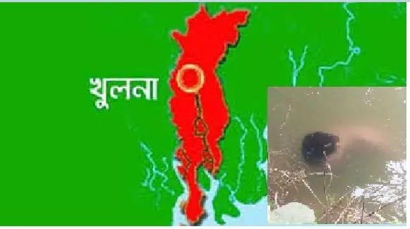 খুলনায় স্বামী, স্ত্রী ও মেয়েকে হত্যা করে লাশ পুকুরে ফেলে দিয়েছে দুর্বৃত্তরা খুলনায় স্বামী, স্ত্রী ও মেয়েকে হত্যা করে লাশ পুকুরে ফেলে দিয়েছে দুর্বৃত্তরা