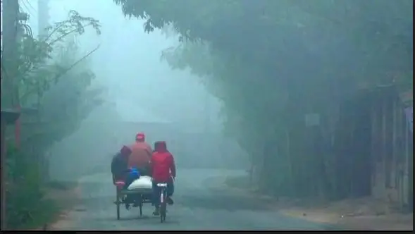 গাইবান্ধায় তীব্র শীতের সাথে বাড়ছে কুয়াশা গাইবান্ধায় তীব্র শীতের সাথে বাড়ছে কুয়াশা