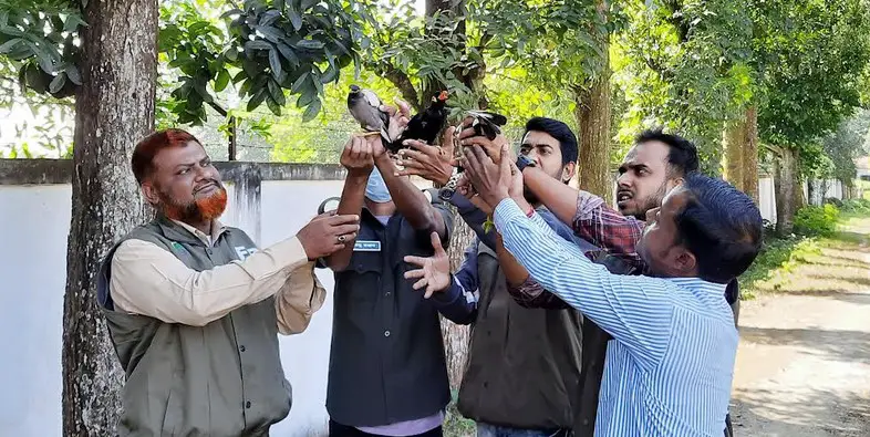 নবীগঞ্জে থেকে উদ্ধারকৃত ৫টি পাখি অবমুক্ত নবীগঞ্জে থেকে উদ্ধারকৃত ৫টি পাখি অবমুক্ত