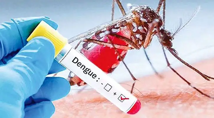 ডেঙ্গু : হাসপাতালে ভর্তি আরও ৬৯ রোগী ডেঙ্গু : হাসপাতালে ভর্তি আরও ৬৯ রোগী