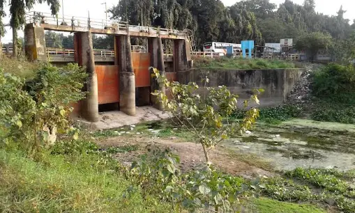 মাগুরায় মুক্তিযুদ্ধের বধ্যভূমি ও গণকবরগুলি অযত্ন ও অবহেলায় পড়ে রয়েছে মাগুরায় মুক্তিযুদ্ধের বধ্যভূমি ও গণকবরগুলি অযত্ন ও অবহেলায় পড়ে রয়েছে