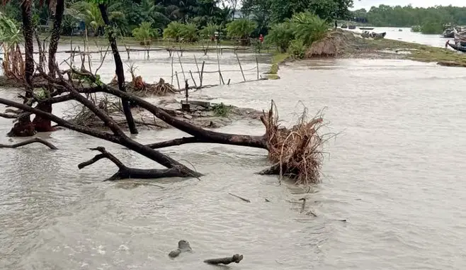 বেড়িবাঁধ ভাঙ্গা স্থান দিয়ে ঢুকছে পানি ॥ রবিশস্যের ব্যাপক ক্ষতির শঙ্কা