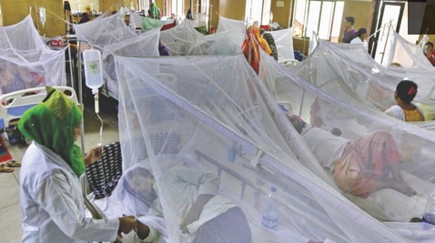 ডেঙ্গু : আরও ২ জনের মৃত্যু, হাসপাতালে ভর্তি ১১৯ ডেঙ্গু : আরও ২ জনের মৃত্যু, হাসপাতালে ভর্তি ১১৯
