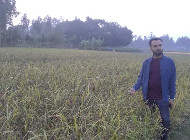 রায়পুরায় ব্ল্যাক রাইস চাষ করে স্বপ্ন দেখছেন কৃষক মো.শহীদ রায়পুরায় ব্ল্যাক রাইস চাষ করে স্বপ্ন দেখছেন কৃষক মো.শহীদ