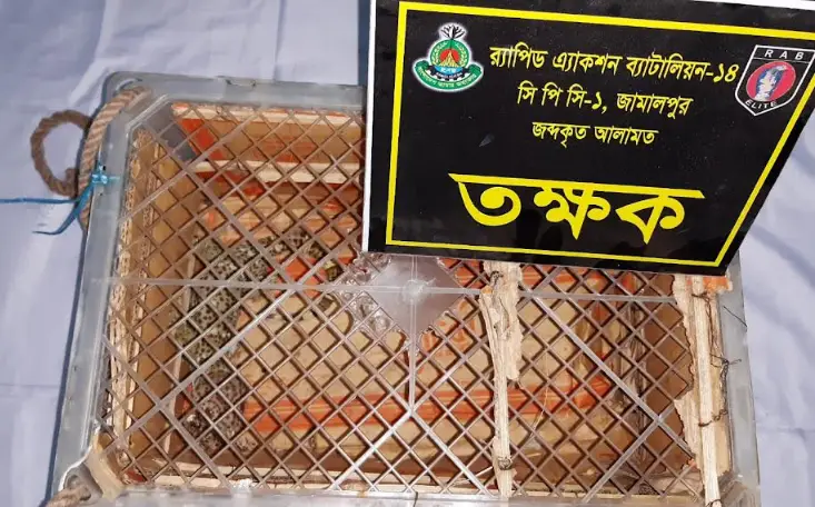নালিতাবাড়ীতে তক্ষকসহ গ্রেফতার ১ নালিতাবাড়ীতে তক্ষকসহ গ্রেফতার ১