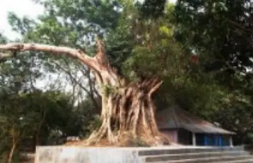 আত্রাইয়ে সরকারি বিধি নিষেধ উপেক্ষা করে চলছে ‘সীতাতলার মেলা’ আত্রাইয়ে সরকারি বিধি নিষেধ উপেক্ষা করে চলছে ‘সীতাতলার মেলা’