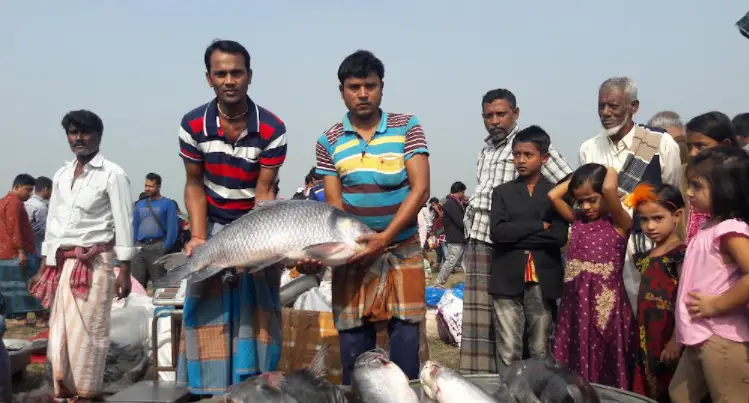 কালীগঞ্জে মাছের মেলায় জামাই-শ্বশুরের প্রতিযোগিতা